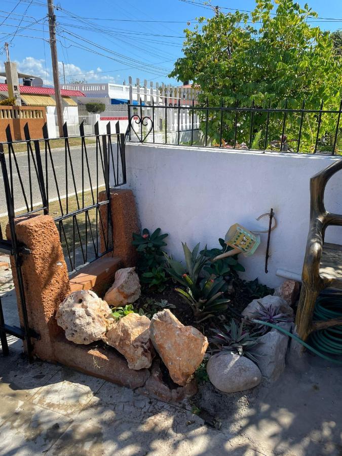 פורטמור Zipcode Hideaway Guesthouse מראה חיצוני תמונה