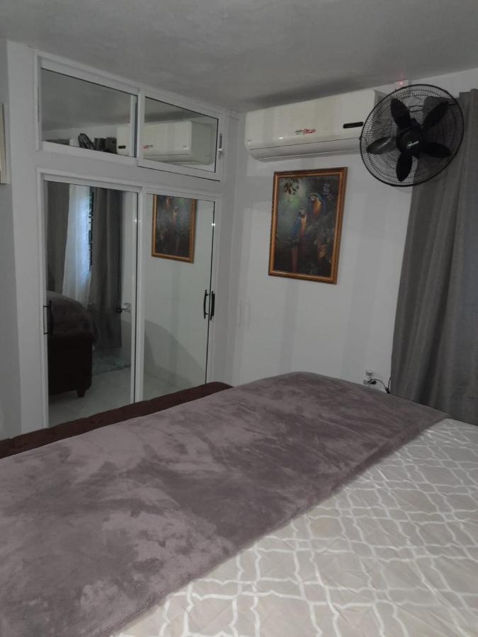 פורטמור Zipcode Hideaway Guesthouse מראה חיצוני תמונה