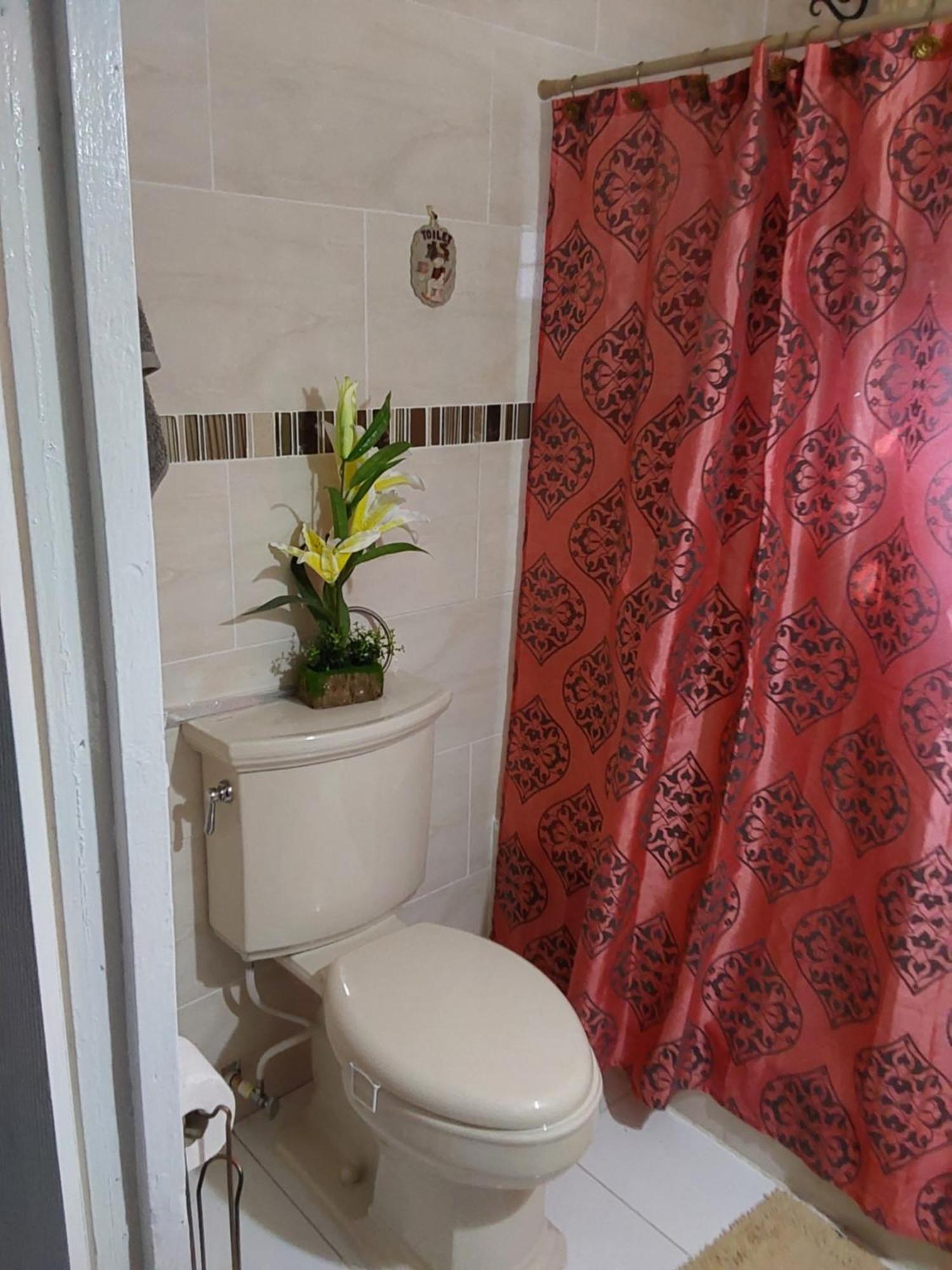 פורטמור Zipcode Hideaway Guesthouse מראה חיצוני תמונה